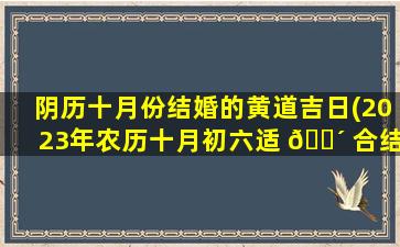 阴历十月份结婚的黄道吉日(2023年农历十月初六适 🐴 合结婚 🌾 吗)